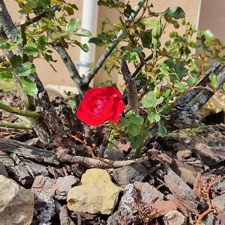 La Maison De Roussi 3*