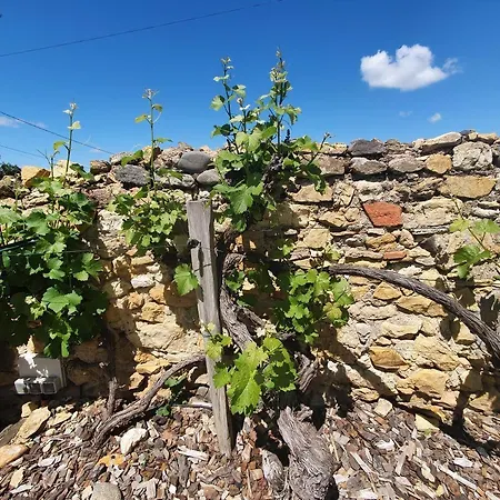 Bed & Breakfast La Maison De Roussi