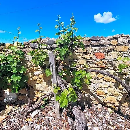 Bed & Breakfast La Maison De Roussi 3*