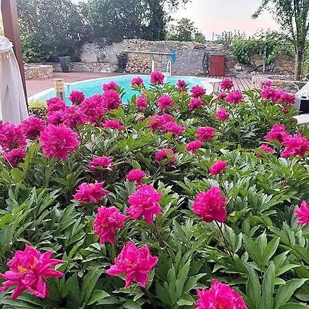 Bed & Breakfast La Maison De Roussi Nonette